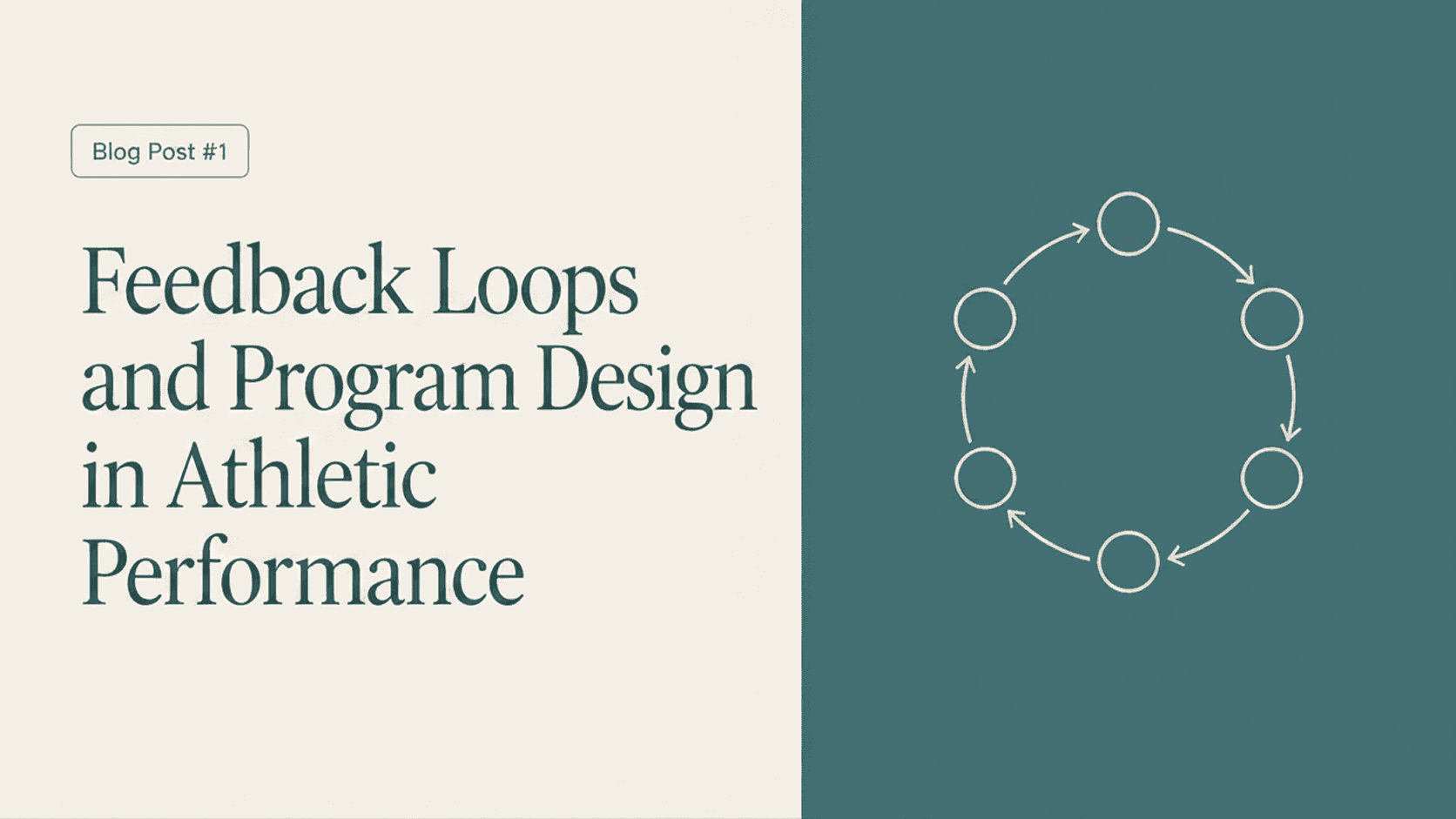 Athlete Performance Feedback Loops for Better Program Design