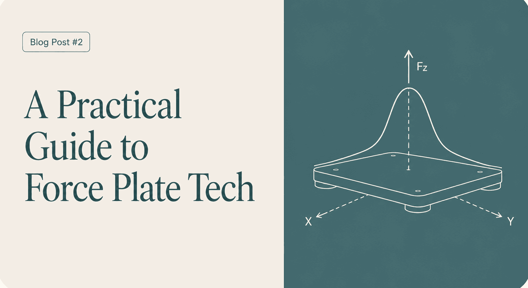 Beyond the Numbers: A Practical Guide to Force Plate Technology